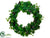 Grape Leaf Wreath - Green Two Tone - Pack of 4