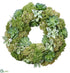Silk Plants Direct Succulent, Sedum Wreath - Green Two Tone - Pack of 1