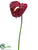 Small Anthurium Spray - Red - Pack of 12