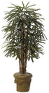 Silk Plants Direct Lady Palm 5' - Green - Pack of 1
