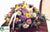 Daisy Casket Spray - Pink Purple - Pack of 1