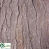 Silk Plants Direct Cedar Bark - Brown - Pack of 1