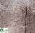 Palm Bark - Brown - Pack of 1