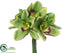 Silk Plants Direct Cymbidium Orchid Bouquet - Green - Pack of 12