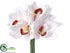 Silk Plants Direct Cymbidium Orchid Bouquet - White - Pack of 12
