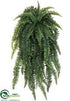 Silk Plants Direct Weeping Boston Fern Hanging Bush - Green Light - Pack of 2