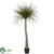 Grass Tree - Green - Pack of 4