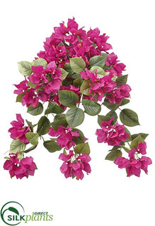 Silk Plants Direct Bougainvillea Hanging Bush - Beauty - Pack of 6