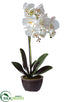 Silk Plants Direct Phalaenopsis Orchid Plant - White Pink - Pack of 4