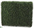 Boxwood Hedge - Green Two Tone - Pack of 1