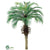 Phoenix Palm Tree - Green - Pack of 2