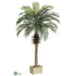 Silk Plants Direct Phoenix Palm Tree - Green - Pack of 2