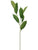 Silk Plants Direct Salal Leaf Spray - Green - Pack of 12