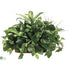 Silk Plants Direct Aglaonema, Fern, Pothos - Green Two Tone - Pack of 4