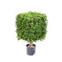 Silk Plants Direct Boxwood Cube - Green - Pack of 2