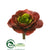 Silk Plants Direct Echeveria Pick - Green Red - Pack of 12