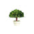 Silk Plants Direct Preserved Boxwood Umbrella Topiary - Green - Pack of 1