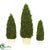 Silk Plants Direct Preserved Cypress Cones - Green - Pack of 2