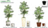 Silk Plants Direct Areca Palm Tree - Green - Pack of 1