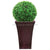 Silk Plants Direct Baby Tear Ball - Green - Pack of 1