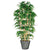 Silk Plants Direct Bamboo Grove - Green - Pack of 1
