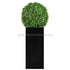 Silk Plants Direct Boxwood Ball - Green - Pack of 1