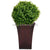 Silk Plants Direct Boxwood Ball - Green - Pack of 2