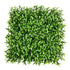 Silk Plants Direct Boxwood Square Mat - Green - Pack of 12
