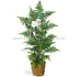 Silk Plants Direct Forest Fern Plant - Green - Pack of 1