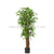 Silk Plants Direct Mini Japanese Ficus Tree - Green - Pack of 1