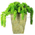 Silk Plants Direct Sedum Plant - Green - Pack of 1