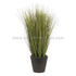 Silk Plants Direct Grass Plant - Green - Pack of 1