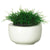 Silk Plants Direct Sea Grass Plant - Green - Pack of 1