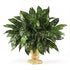 Silk Plants Direct Silver King Plant - Green - Pack of 1