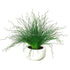 Silk Plants Direct Curly Pencil Grass Plant - Green - Pack of 1