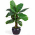 Silk Plants Direct Banana Table Top Tree - Green - Pack of 1
