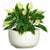 Silk Plants Direct Spathiphyllum Plant - Green - Pack of 1
