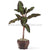 Silk Plants Direct Banana Tree Plant - Green - Pack of 1