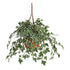 Silk Plants Direct Holland Ivy Hanging Basket Plant - Green Variegated - Pack of 1