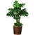 Silk Plants Direct Monstera Plant - Green - Pack of 1