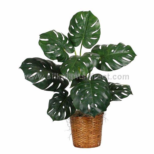artificial split leaf philodendron plant Silk Plants Direct Split Leaf Philodendron Plant - Green