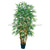 Silk Plants Direct Bamboo Tree - Green - Pack of 1