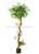 Silk Plants Direct Mini Japanese Ficus Oriental Tree - Green - Pack of 1