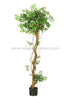 Silk Plants Direct Mini Japanese Ficus Oriental Tree - Green - Pack of 1