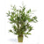 Silk Plants Direct Bamboo Table Top Tree - Green - Pack of 1