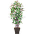Silk Plants Direct Capensia Ficus Tree - Red - Pack of 2
