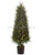 Cedar Topiary Tree with Lights - Green - Pack of 2