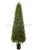 Cedar Topiary Tree with Lights - Green - Pack of 1