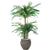 Silk Plants Direct Cycas Palm Umbrella - Green - Pack of 2