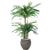 Silk Plants Direct Cycas Palm Umbrella - Green - Pack of 2